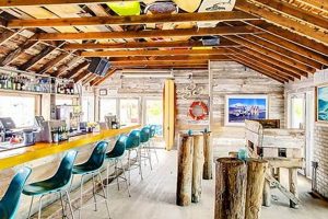 Your Montauk Surf Shop | Gear, Rentals & More | Learn to Surf & Skate: A Beginner's Step-by-Step Guide