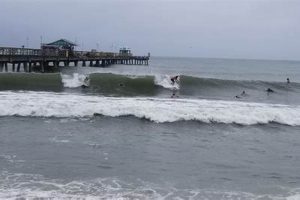 Your Fort Lauderdale Surf Report: [Conditions & Forecast] | Learn to Surf & Skate: A Beginner's Step-by-Step Guide