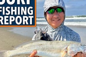 Your Socal Surf Report: Waves, Tides & More! | Learn to Surf & Skate: A Beginner's Step-by-Step Guide