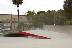 Oakland Skate Parks: Find the Best Local Spots | Learn to Surf & Skate: A Beginner's Step-by-Step Guide