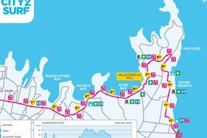 Run Sydney City to Surf: Bondi's Epic Race! | Learn to Surf & Skate: A Beginner's Step-by-Step Guide