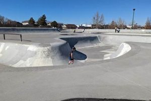 Visit Bear Mountain Skate Park: A Skater's Paradise | Learn to Surf & Skate: A Beginner's Step-by-Step Guide