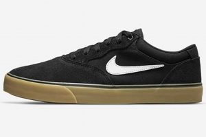Best Nike SB Skate Shoe: Buy & Style Tips | Learn to Surf & Skate: A Beginner's Step-by-Step Guide