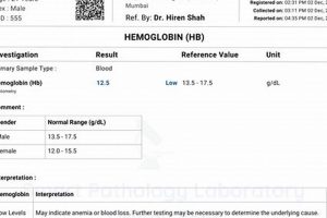 Your Ultimate Huntington Beach Surf Report HB Guide Today! Learn to Surf & Skate: A Beginner's Step-by-Step Guide Your Ultimate Huntington Beach Surf Report HB Guide Today! | Learn to Surf & Skate: A Beginner's Step-by-Step Guide