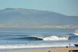 Your Guide to Manhattan Beach Surf: Waves & More | Learn to Surf & Skate: A Beginner's Step-by-Step Guide