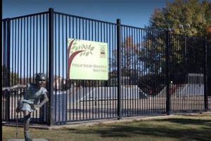 Visit: Phillip Shelby Hemstock Skate Park Guide Near You! | Learn to Surf & Skate: A Beginner's Step-by-Step Guide