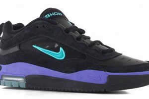 Buy Nike SB Air Max Ishod Skate Shoes Online Today! | Learn to Surf & Skate: A Beginner's Step-by-Step Guide