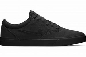 Best Men's SB Charge Skate Shoes: Performance & Style! | Learn to Surf & Skate: A Beginner's Step-by-Step Guide