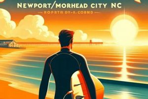 Newport RI Surf Report: Best Waves + Forecasts | Learn to Surf & Skate: A Beginner's Step-by-Step Guide
