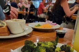 Your Guide to Low Tide Surf City Surfing | Learn to Surf & Skate: A Beginner's Step-by-Step Guide