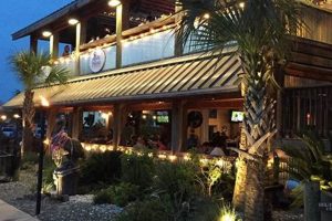 Dine at the Surf Restaurant Fernandina Beach | Ocean Views! | Learn to Surf & Skate: A Beginner's Step-by-Step Guide
