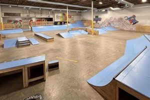 Unleash Talent: Skate Park Fun & More Near You! | Learn to Surf & Skate: A Beginner's Step-by-Step Guide