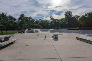 Explore Dillon Park Skate Park: Your Ultimate Guide! | Learn to Surf & Skate: A Beginner's Step-by-Step Guide