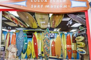 Your Guide to Cocoa Beach FL Surf Shops + Rentals | Learn to Surf & Skate: A Beginner's Step-by-Step Guide