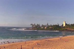 Waimea Surf Cam: See Live Oahu Waves Now! | Learn to Surf & Skate: A Beginner's Step-by-Step Guide