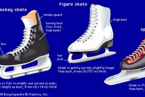 Best Sport Ice Skates: Performance & Care Guide | Learn to Surf & Skate: A Beginner's Step-by-Step Guide