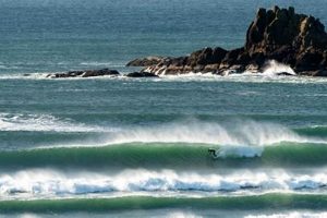 Newport Oregon Surf Report: Conditions & Forecasts Now! | Learn to Surf & Skate: A Beginner's Step-by-Step Guide