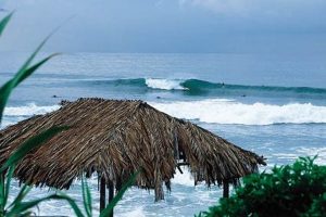 Windansea Beach Surf Stats: Your Surf Report Guide Learn to Surf & Skate: A Beginner's Step-by-Step Guide Windansea Beach Surf Stats: Your Surf Report Guide | Learn to Surf & Skate: A Beginner's Step-by-Step Guide