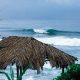 Windansea Beach Surf Stats: Your Surf Report Guide | Learn to Surf & Skate: A Beginner's Step-by-Step Guide