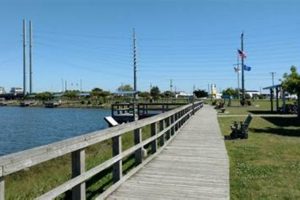 Explore Soundside Park in Surf City, NC - [A Guide] | Learn to Surf & Skate: A Beginner's Step-by-Step Guide