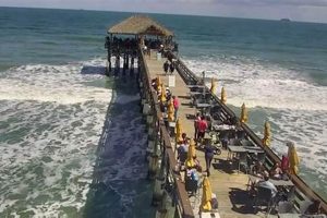 Miami Beach Surf Report: Florida Waves Now! Learn to Surf & Skate: A Beginner's Step-by-Step Guide Miami Beach Surf Report: Florida Waves Now! | Learn to Surf & Skate: A Beginner's Step-by-Step Guide