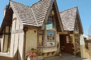 Your Guide to Surf Shop Carmel, CA: Gear & More! | Learn to Surf & Skate: A Beginner's Step-by-Step Guide