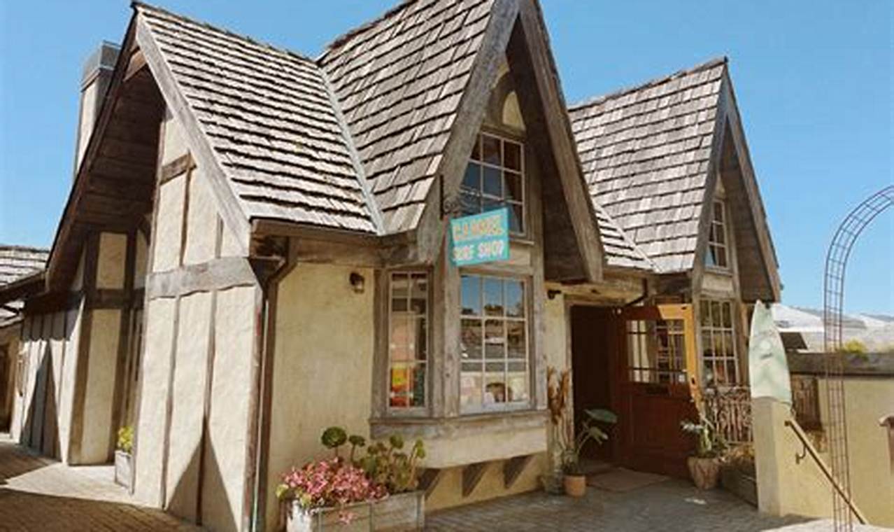 Your Guide to Surf Shop Carmel, CA: Gear & More! | Learn to Surf & Skate: A Beginner's Step-by-Step Guide