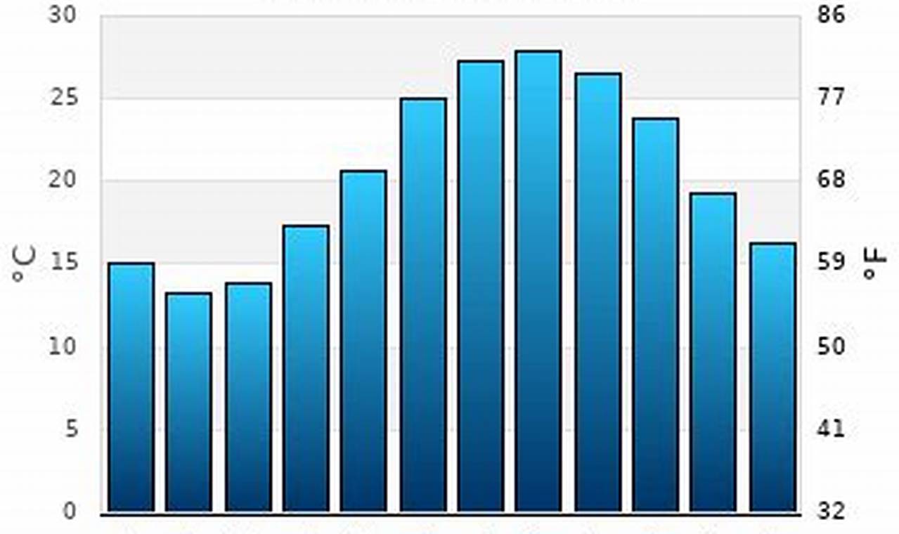 Surf City NC Water Temperature: Your Surf &amp; Swim Guide | Learn to Surf & Skate: A Beginner's Step-by-Step Guide