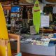 Local Rider Shack Surf & Skate Shop | Gear & More! | Learn to Surf & Skate: A Beginner's Step-by-Step Guide