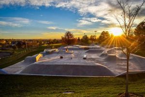 Your Guide to Skate Parks in Thornton, CO + More Learn to Surf & Skate: A Beginner's Step-by-Step Guide Your Guide to Skate Parks in Thornton, CO + More | Learn to Surf & Skate: A Beginner's Step-by-Step Guide