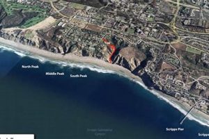 Your Blacks Beach Surf Report HQ: Conditions & Forecast | Learn to Surf & Skate: A Beginner's Step-by-Step Guide