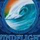 Your Guide to Windflight Surf Shop: Gear & More | Learn to Surf & Skate: A Beginner's Step-by-Step Guide