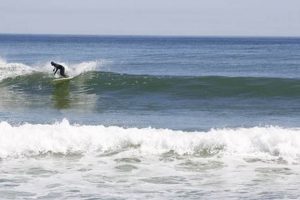 Your Cape Cod Surf Shop: Gear, Lessons & More! Learn to Surf & Skate: A Beginner's Step-by-Step Guide Your Cape Cod Surf Shop: Gear, Lessons & More! | Learn to Surf & Skate: A Beginner's Step-by-Step Guide