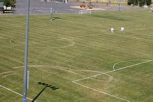 Your Guide to Maidu Skate Park Fun | Learn to Surf & Skate: A Beginner's Step-by-Step Guide