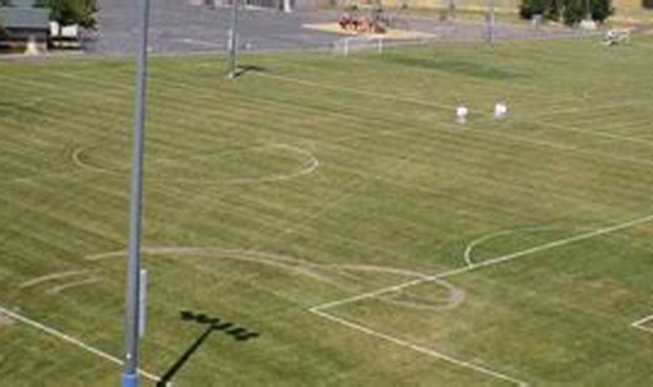 Your Guide to Maidu Skate Park Fun | Learn to Surf & Skate: A Beginner's Step-by-Step Guide