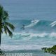 Rincon Puerto Rico Surf Report: [Today's Waves] & Conditions | Learn to Surf & Skate: A Beginner's Step-by-Step Guide
