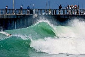 Surf Report For Sebastian Inlet Learn to Surf & Skate: A Beginner's Step-by-Step Guide Surf Report For Sebastian Inlet | Learn to Surf & Skate: A Beginner's Step-by-Step Guide