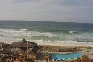 Your Destin Surf Report: [Update Time] Conditions & Forecast | Learn to Surf & Skate: A Beginner's Step-by-Step Guide
