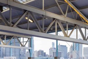 Best Brooklyn Roller Skates [Deals] & Where to Roll! | Learn to Surf & Skate: A Beginner's Step-by-Step Guide