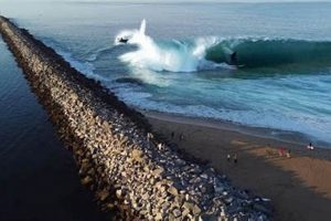 Your Guide: The Wedge Newport Beach Surf Stats & More Learn to Surf & Skate: A Beginner's Step-by-Step Guide Your Guide: The Wedge Newport Beach Surf Stats & More | Learn to Surf & Skate: A Beginner's Step-by-Step Guide