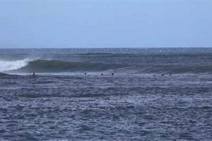 Your Guide: Pakala Surf Report Forecast & Conditions Learn to Surf & Skate: A Beginner's Step-by-Step Guide Your Guide: Pakala Surf Report Forecast & Conditions | Learn to Surf & Skate: A Beginner's Step-by-Step Guide