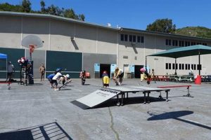 Visit Laguna Beach Skate Park: Your Skate Destination! | Learn to Surf & Skate: A Beginner's Step-by-Step Guide