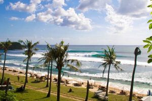 Find Good Surfing Beaches: Your Ultimate Guide | Learn to Surf & Skate: A Beginner's Step-by-Step Guide