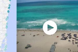 Live South Beach Surf Cam: Watch Waves & Conditions! Learn to Surf & Skate: A Beginner's Step-by-Step Guide Live South Beach Surf Cam: Watch Waves & Conditions! | Learn to Surf & Skate: A Beginner's Step-by-Step Guide