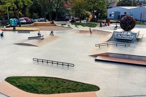 Awesome Pictures of Skate Parks: Designs & More! | Learn to Surf & Skate: A Beginner's Step-by-Step Guide