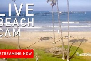 Live: OB Surf Cam Today - Ocean Beach Surf Report | Learn to Surf & Skate: A Beginner's Step-by-Step Guide