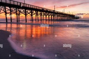 NC's Sunrise Surf City: Best Views &amp; Beaches | Learn to Surf & Skate: A Beginner's Step-by-Step Guide
