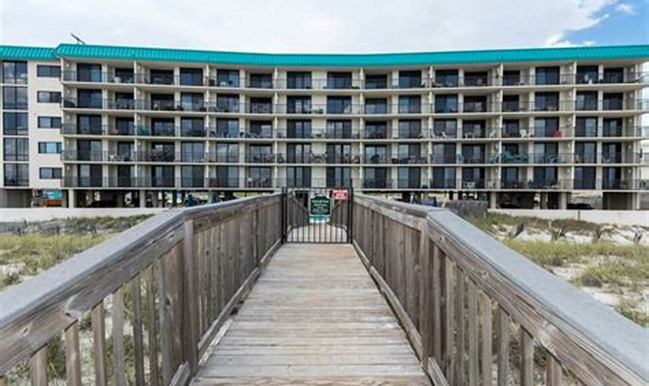 Discover: Emerald Surf Navarre Beach, FL - Your Paradise! | Learn to Surf & Skate: A Beginner's Step-by-Step Guide