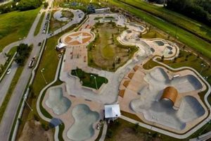 Best Houston Skate Parks: Your Ultimate Guide! | Learn to Surf & Skate: A Beginner's Step-by-Step Guide