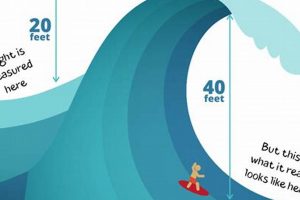 Your Guide: Long Beach Surf Forecast - Plan Your Surf Beach Day! | Learn to Surf & Skate: A Beginner's Step-by-Step Guide